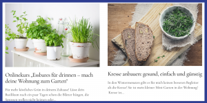 Nebenjob Bloggen